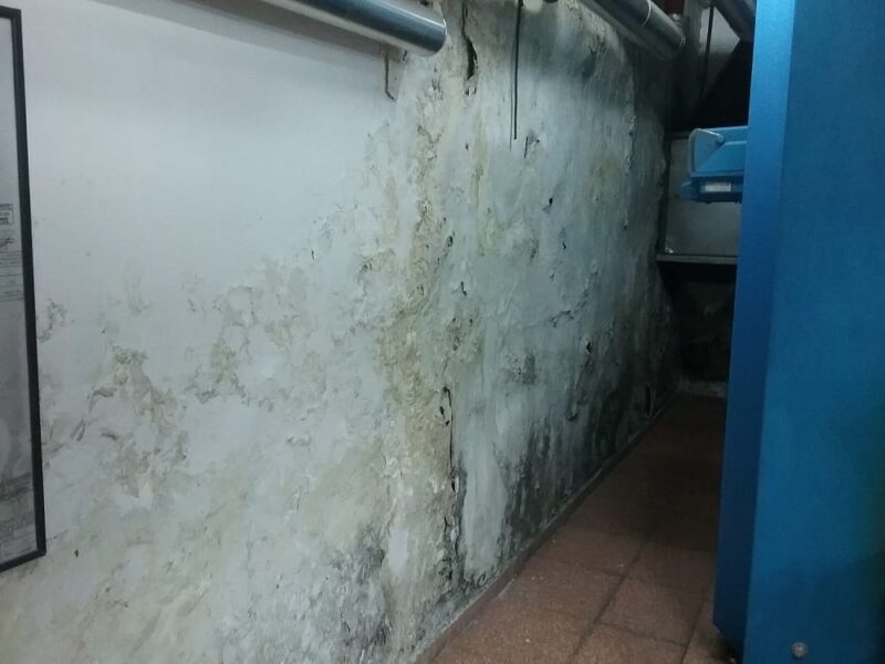 MURPROTEC Tratamientos definitivos contra la humedad