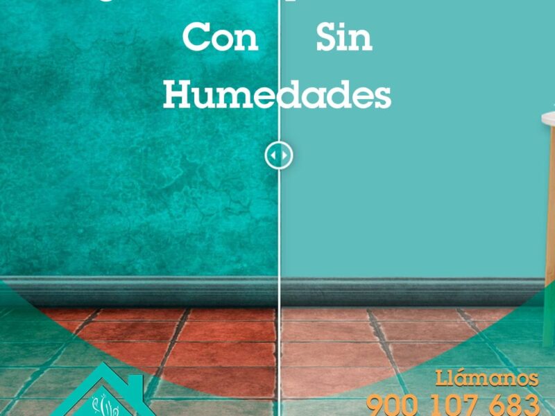 Cactus humedades por condensación