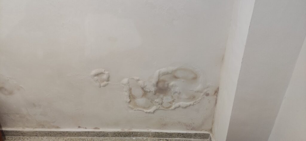 Sales de la capilaridad