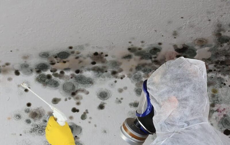 Servicios de Humedades por condensación Almería
